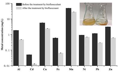 A bioflocculant from Corynebacterium glutamicum and its application in acid mine wastewater treatment